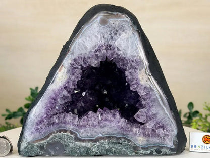Extra Plus Quality Amethyst Cathedral, ca. 6.4kg - 20cm Tall #5601-1541 by Brazil Gems