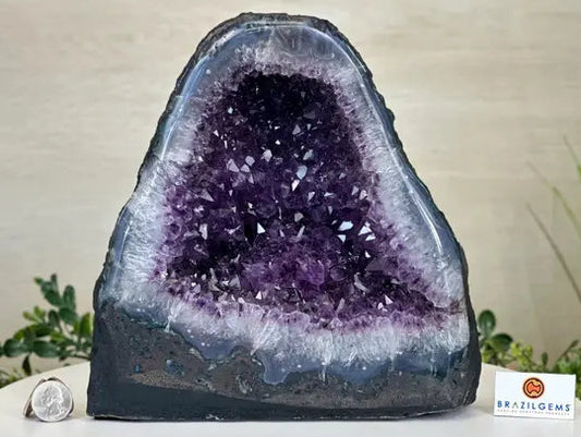 Extra Plus Quality Brazilian Amethyst Cathedral, 9kg - 23cm Tall #5601-1517 by Brazil Gems