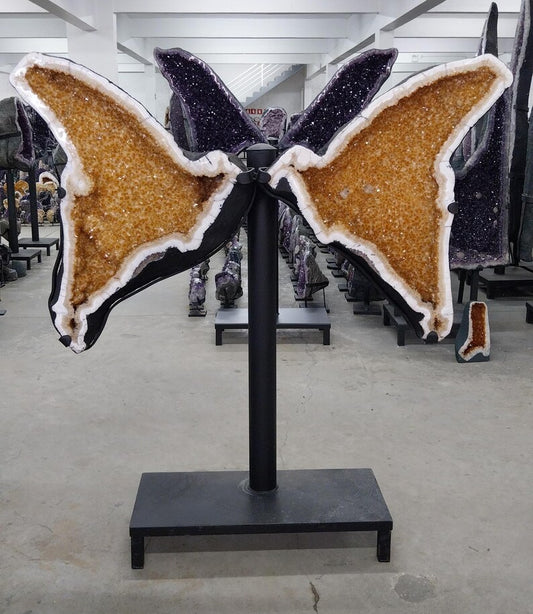 Eksklusiv Brazilian Citrine ( Heated ) Butterfly Angel Wings 172x158cm - 218kg. AAA+ Kvalitet