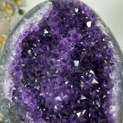 Uruguayan Amethyst Geode with agate Shell Statement Piece - MWS2962, 3 KG - 20x16cm