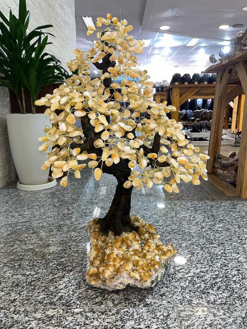 Citrine Geode Tree*** Big Crystal Mined in Brazil, 24kg - 79x68x50cm