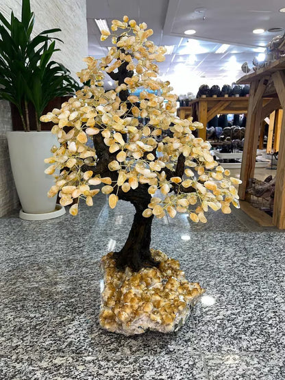 Citrine Geode Tree*** Big Crystal Mined in Brazil, 24kg - 79x68x50cm