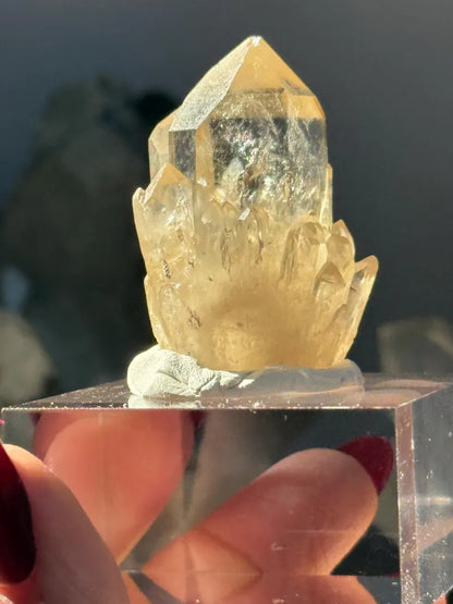 Genuine Kundalini Citrine Crystal • 30 Grams • UNHEATED & UNTREATED Natural Citrine Cathedral