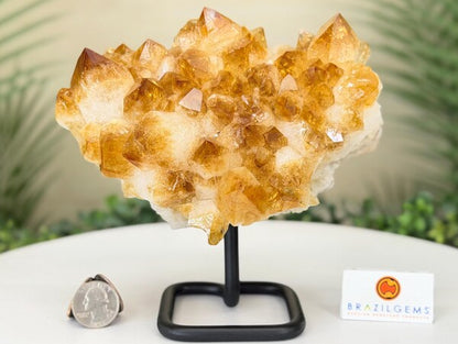 High Quality Brazilian Citrine ( Heated ) Cluster on Metal Stand, 2.1kg & 17x12x11cm,  #4491CI-030