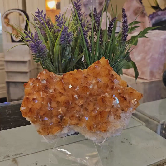 Superflott og stort World Class Brazilian Citrine Cluster ( heated ) med stativ , ca. 18x13cm