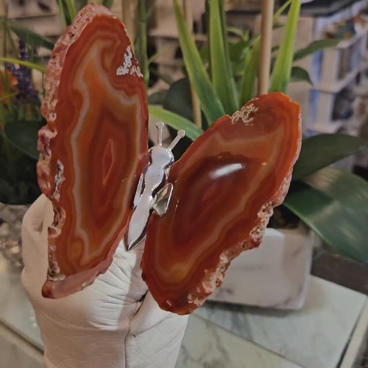 Superflott og vakker Brazilian Orange Caramel Agat Butterfly ca. 8x6cm pr. vinge