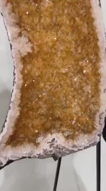 Eksklusiv Brazilian Ametyst & Citrine ( Heated ) Butterfly Angel Wings 76x63cm - 76kg. AAA+ Kvalitet