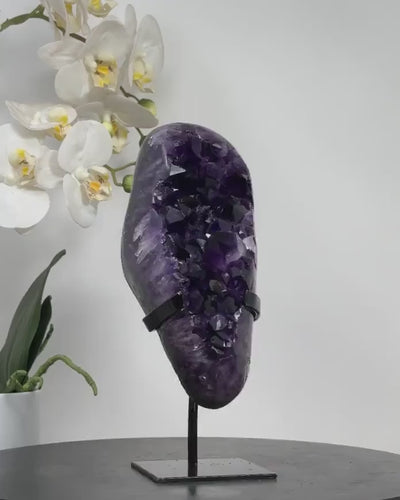 Unique Amethyst Cluster with huge Deep Purple Crystals - MWS1756, 22x9.5cm - 1.6KG