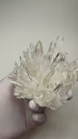 Eksklusive AAA + Extreme High Quality Clear Quartz Clustre ( Arkansas/USA), Large Size - ca. 15x14x8cm