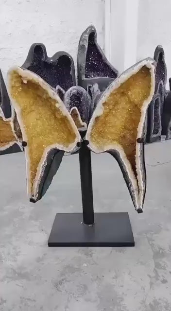 Eksklusiv Brazilian Citrine ( Heated ) Butterfly Angel Wings 88x64cm - 49kg. AAA+ Kvalitet