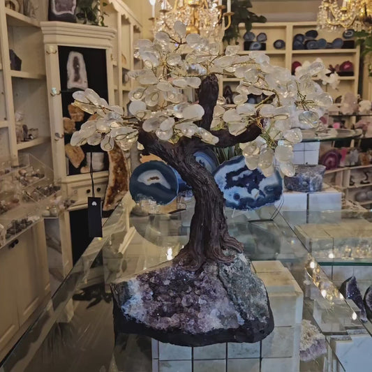 Superflotte Brazilian "Tree Of Life" Clear Quartz Crystal Trees m/Ametyst Clusterfot, ca. 35cm - 5kg