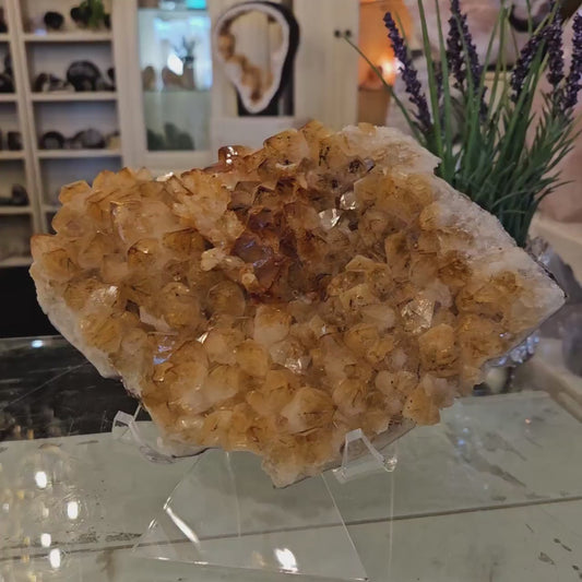 Superflott og stort Brazilian Citrine Cluster ( heated ) med stativ , ca. 20x15cm