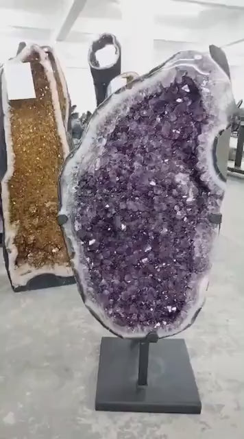 BIG Exclusiv Brazilian Ametyst Geode Cluster m/stativ - 75kg