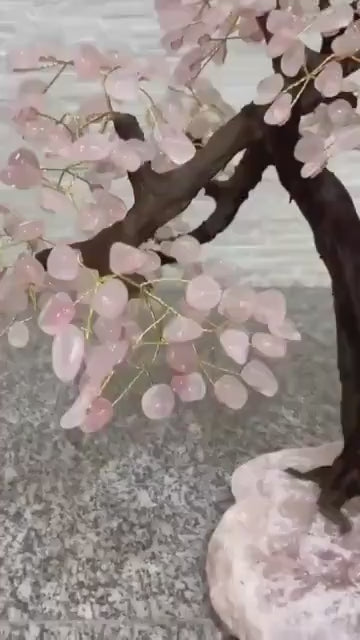 Rose Quartz Geode Tree*** Natural Big Crystal Mined in Brazil, 25kg 79x68x60cm