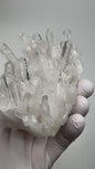 Eksklusive AAA + Extreme High Quality Clear Quartz Clustre ( Arkansas/USA), Large Size - ca. 12x8x6cm