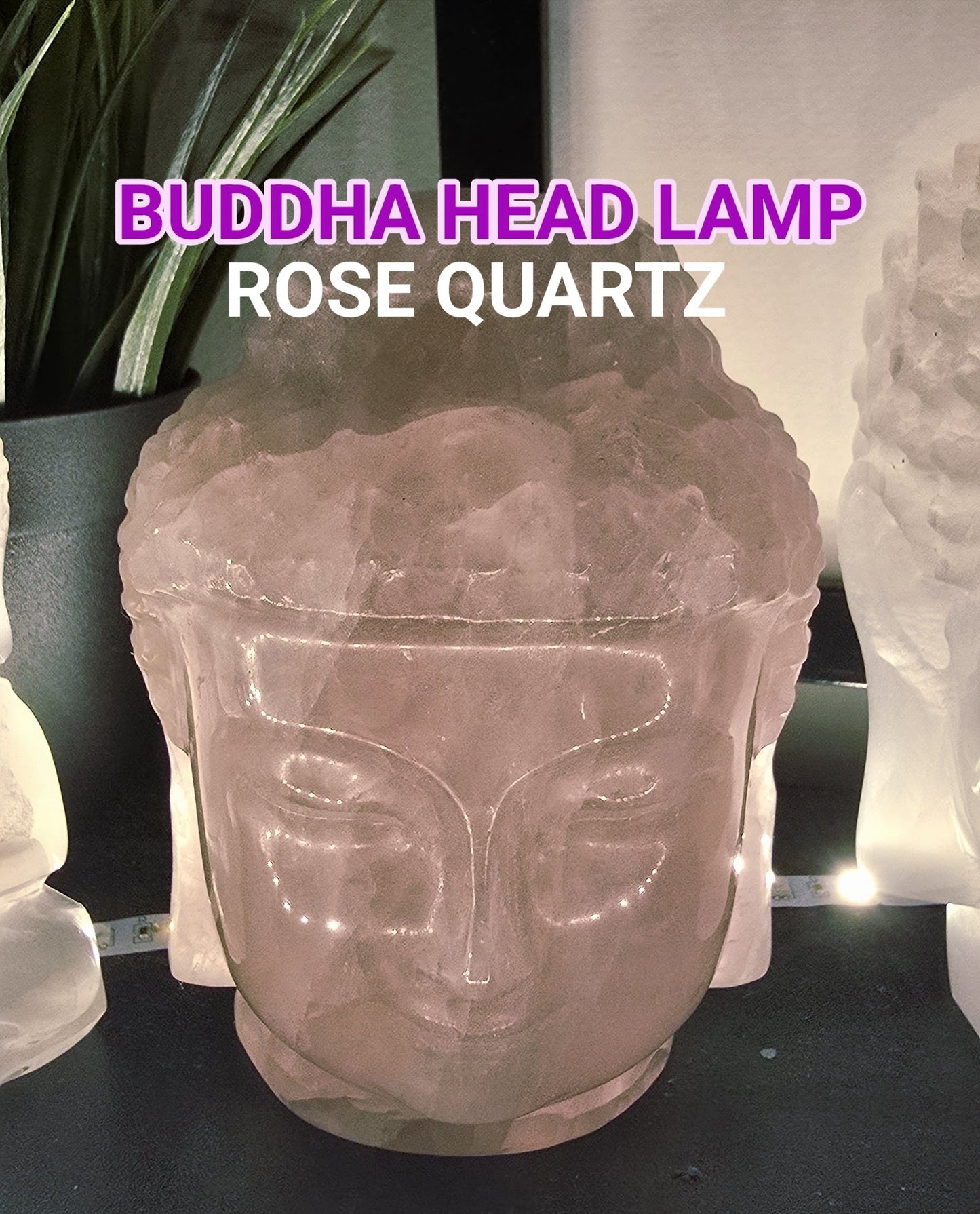 Superflott Rose Quartz Buddha Head m/Led Trebase og lysjustering ca. 11 - 12cm