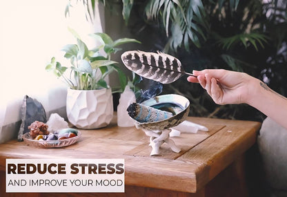 White Sage Smudge Kit with Feather, 2 Sage Bundles, 3 Palo Santo Sticks, Abalone Shell + Stand | Home Smoke Cleanse Kit | House Cleansing