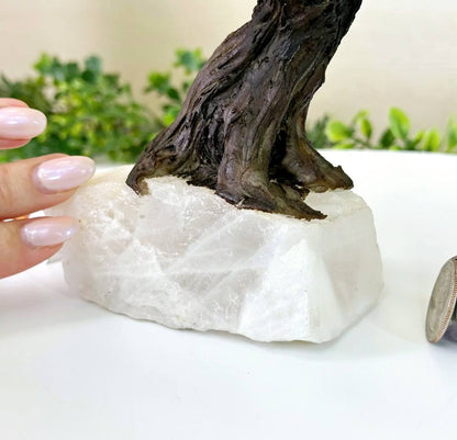 NEW / 25cm Tall Handmade Brazilian Clear Quartz Gemstone Tree, Quartz Base with a Crystal Parrot Bird, 120 Raw Crystals