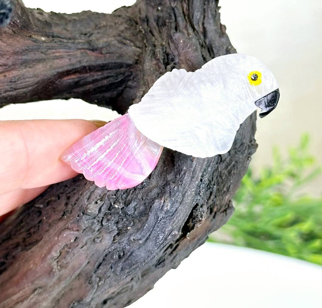 NEW / 25cm Tall Handmade Brazilian Sort Turmaline Raw Quartz Gemstone Tree, Large Ametyst Cluster Quartz Base with a Crystal Parrot Bird - 160 Crystals