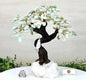 NEW / 25cm Tall Handmade Brazilian Amazonite Quartz Gemstone Tree, Quartz Base with a Crystal Parrot Bird - 120 Crystals