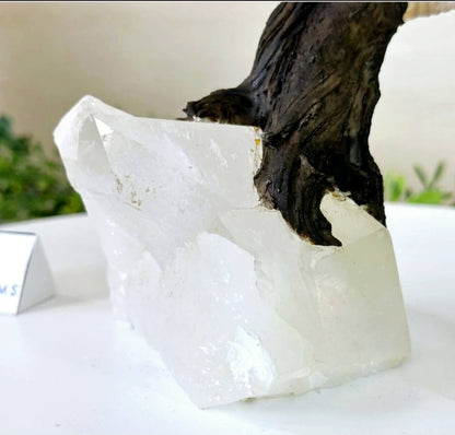 NEW / 25cm Tall Handmade Brazilian Ametyst Quartz Gemstone Tree, Quartz Base with a Crystal Parrot Bird - 120 Crystals