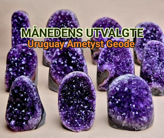 MAI SPECIAL - 50% OFF + FREE FRAKT & BONUSGAVE / Unik og flott ARTIGA Uruguay Ametyst Geode m/polert Agat kant, ca. 1kg - 1.5kg