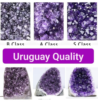 OM * URUGUAY KVALITET / KLASSER